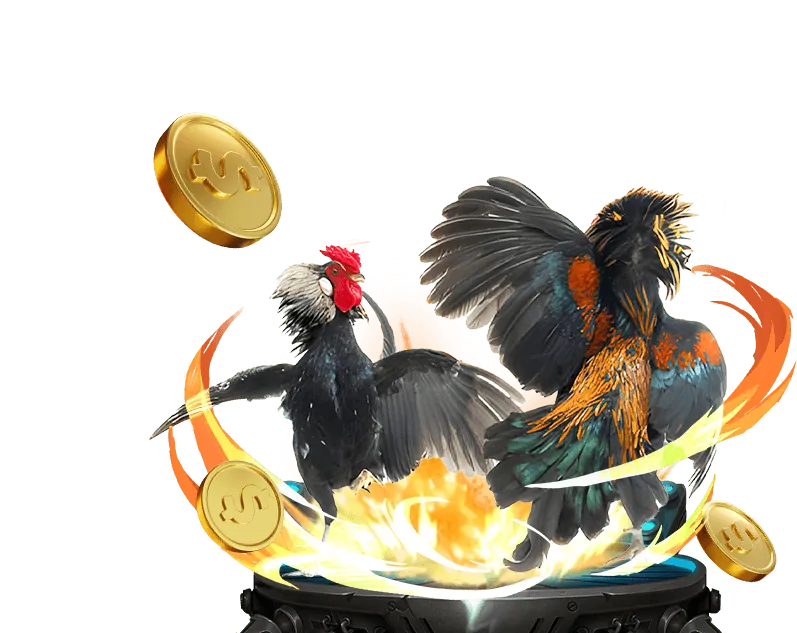 Khuyến mãi đá gà m66 bet