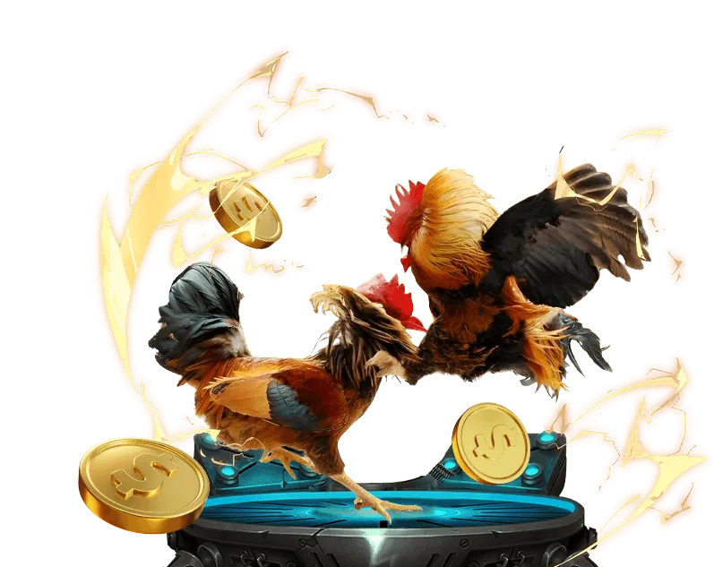 Đội ngũ m66 bet đang làm việc với tầm nhìn và sứ mệnh